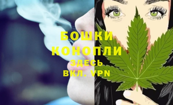 apvp Богданович