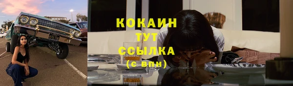 apvp Богданович