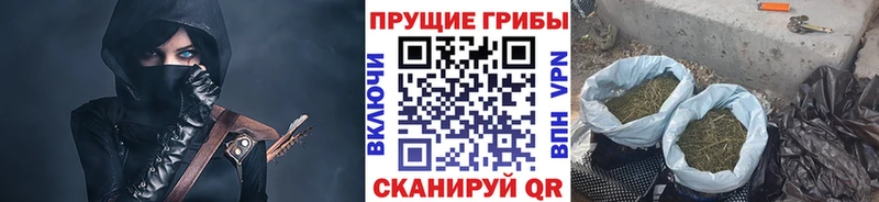 Псилоцибиновые грибы Cubensis Баксан